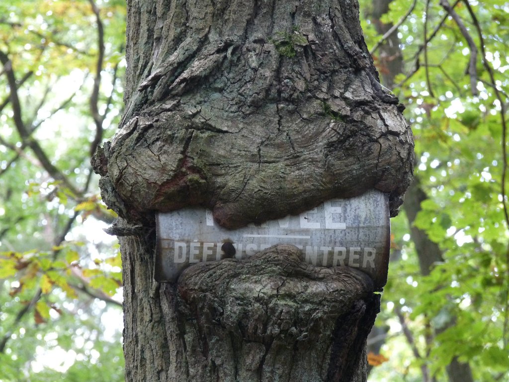 2014-09-14 Château de la Madeleine-0030.JPG